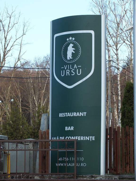 Vila Ursu Din Sovata Bai Buitenkant foto